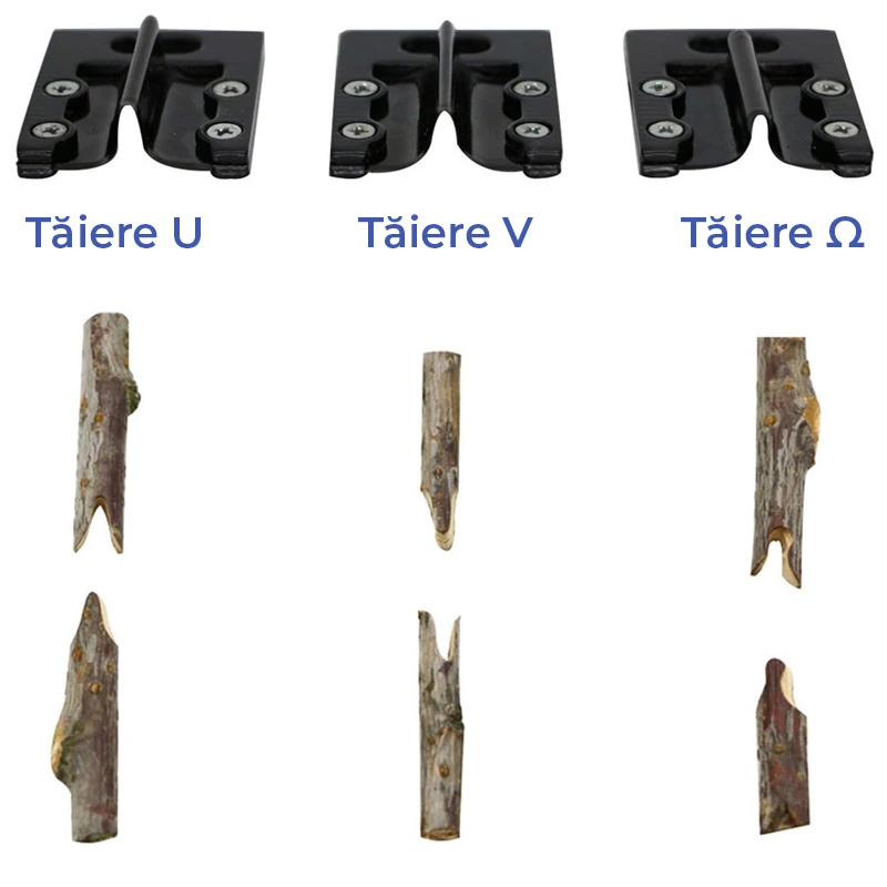 FOARFECA ALTOIT 5