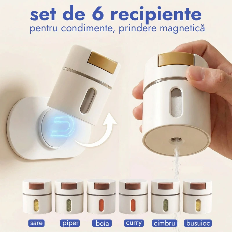 SET 6 RECIPIENTE CONDIMENTE 1