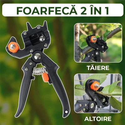FOARFECA ALTOIT