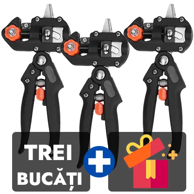 3 bucati