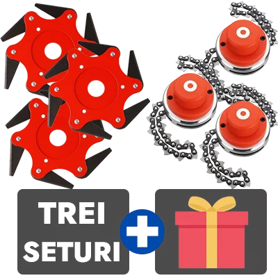 3 bucati