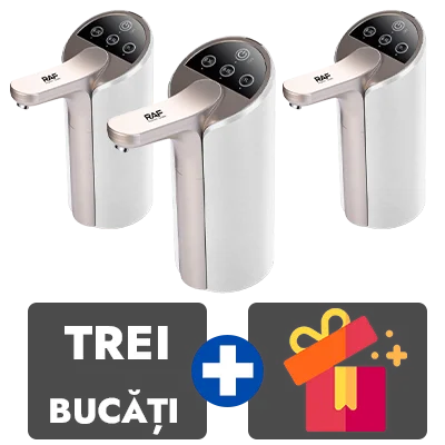 3 bucati