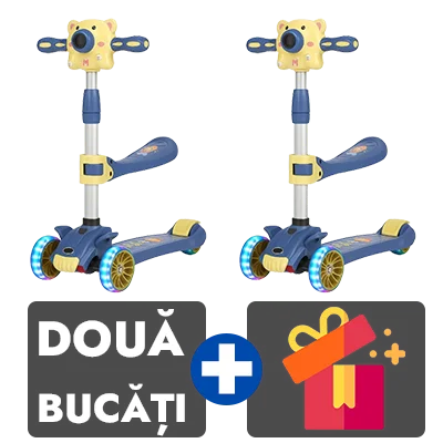 2 bucati