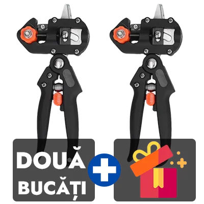 2 bucati