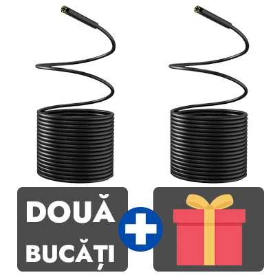 2 bucati