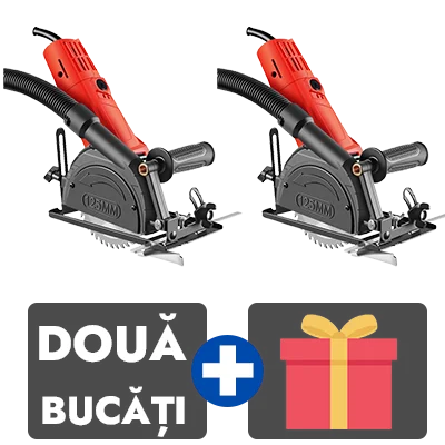 2 bucati