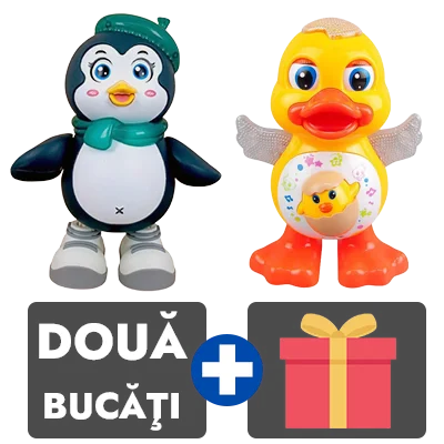 2 bucati