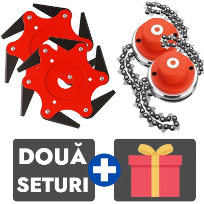 2 bucati