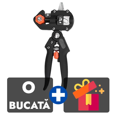 1 bucata