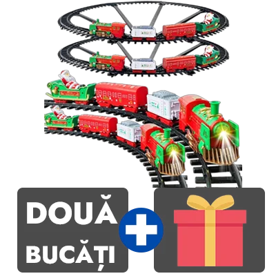 2 bucati
