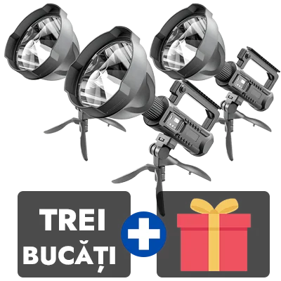 3 bucati