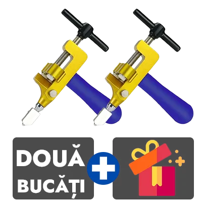 2 bucati