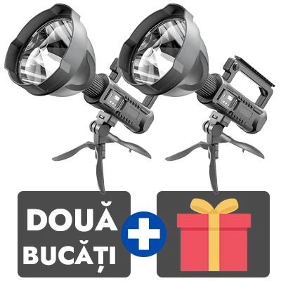 2 bucati
