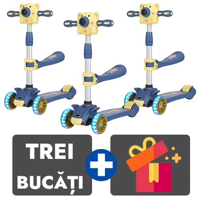 3 bucati