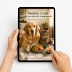 MASINA TUNS ANIMALE 4